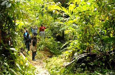 Rainforest hike, Tobago